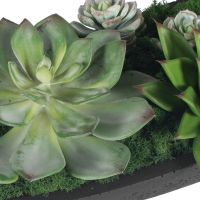 Verde Succulent Centerpiece detail