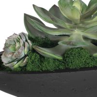 Verde Succulent Centerpiece detail