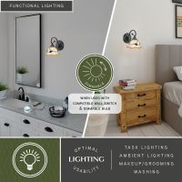 Vine 1-Light Oil Shale Vanity Light
