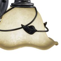 Vine 1-Light Oil Shale Vanity Light