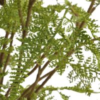 Woodland Fern Centerpiece detail