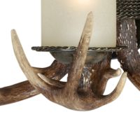 Yoho 3-Light Antler Black Walnut Vanity Light
