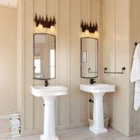 Yosemite 2-Light Tree Burnished Bronze Vanity Light