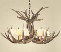 6 Light Mule Deer Antler Chandelier shown with optional shades (shades may vary in color)