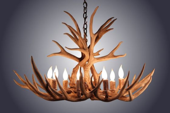 8 Light Mule Deer Antler Chandelier