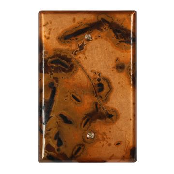 Bamboo 1 Blank Copper Switch Plate