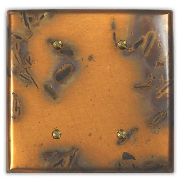 Bamboo 2 Blank Copper Switch Plate