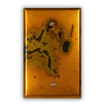 Bamboo Golden 1 Blank Copper Switch Plate