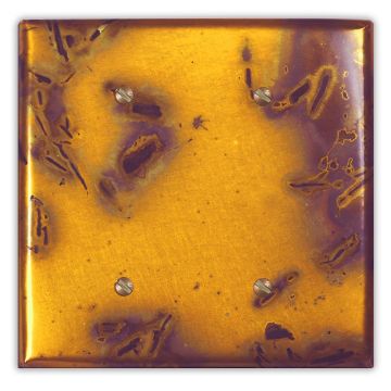 Bamboo Golden 2 Blank Copper Switch Plate
