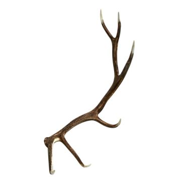 Elk Faux Antler