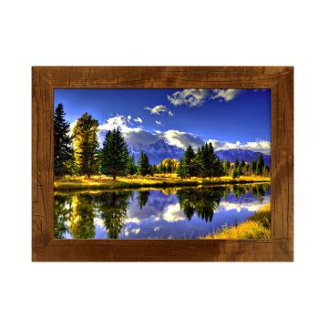 "Fall Shadows" by Mitchell Mansanarez