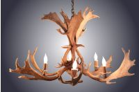 6 Light Fallow Antler Chandelier