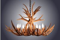 8 Light Mule Deer Antler Chandelier