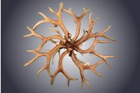 Bottom View of 8 Light Mule Deer Antler Chandelier