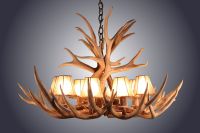 8 Light Mule Deer Antler Chandelier w/ Shades