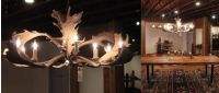 8 Light Elongated Fallow Antler Chandelier