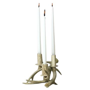 Two Antler Candle Holder