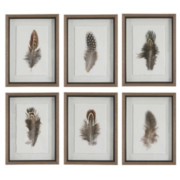 Birds of a Feather Framed Prints