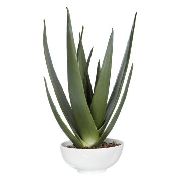 Evardo Faux Aloe Planter