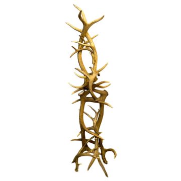 Antler Coat Tree