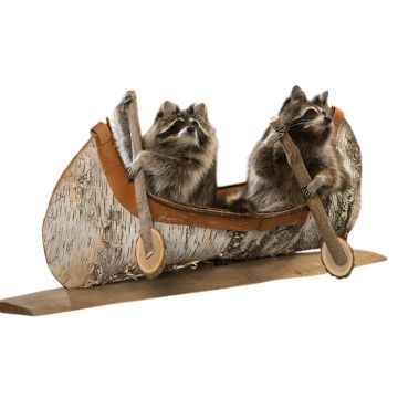 Canoeing Coon Duo Trophy Mount