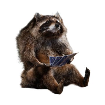 Card Shark Raccoon Whimsical Taxidermy