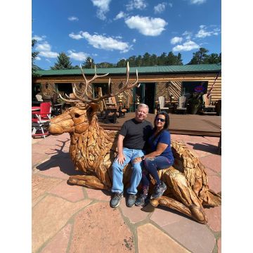 Driftwood Elk Bench