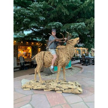 Driftwood Elk