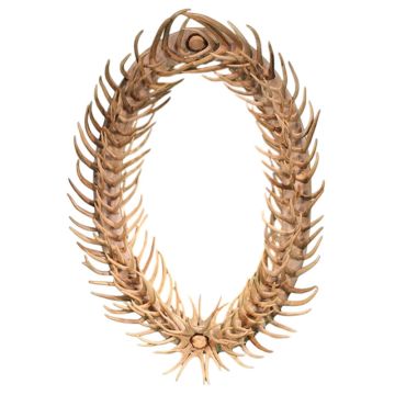Oval Mule Deer Antler Fork Mirror in Natural Finish