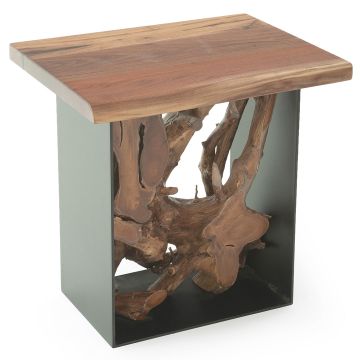 Modern Root End Table
