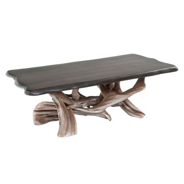 Organic Modern Coffee Table
