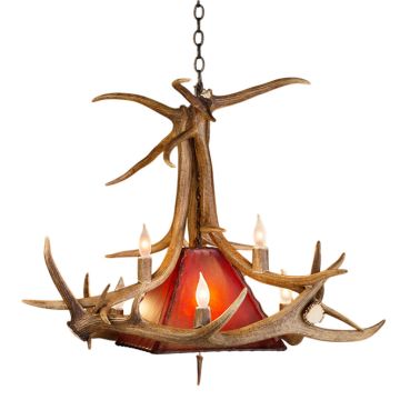 Real Elk Antler Pendant Light