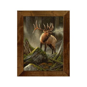 "Royal Reveille" by Dallen Lambson
#901 Standard Frame