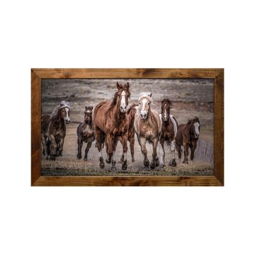 "Running Wild" by Dan Ballard
#901 Standard Frame
