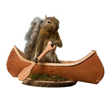 Canoeing Squirrel Trophy Mount