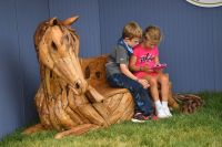 Driftwood Horse Bench © Andrew Ryback