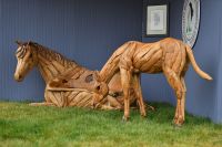 Driftwood Horse Bench © Andrew Ryback