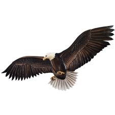 Rustic Flying Eagle Wood Wall Art