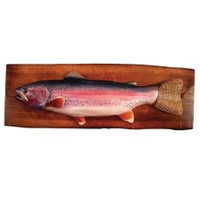 Harold the Rainbow Trout Wood Art