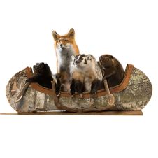 "Noah's Ark" Canoeing Quartet