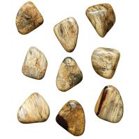 Pebbles Wood Blonde Wall Decor