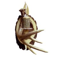 Electric Antler Wall Sconce; 1 antler, 1 light
