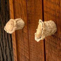 Authentic antler pulls
