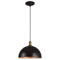 Placuna Metal Dome Pendant Light