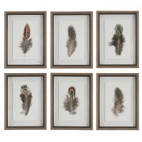 Birds of a Feather Framed Prints