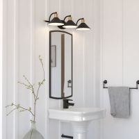 Akron 3-Light Matte Black & Natural Brass Vanity Light