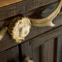 Antler Detail
