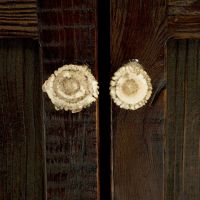 Antler Detail