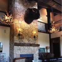 8 Light Tall Mule Deer Antler Chandelier