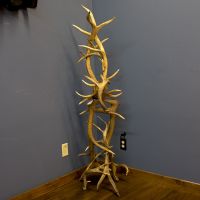 Antler Coat Tree